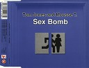 Tom Jones With Mousse T - Sexbomb Peppermint Disco Mix