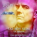 Fat Boy Slim - Ya Mama Dima Matrosov Remix