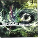 Pendulum vs Fresh - Tarantula feat Spyda Tenor Fly
