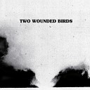 Two Wounded Birds - If Only We Remain