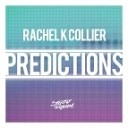 Rachel K Collier - Predictions DJ S K T Remix