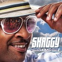 Shaggy feat Jaiden - Soldiers Story
