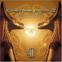 Consortium Project III - The Council Of Elders