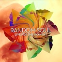 Random Soul - One Night Love