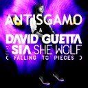 David Guetta feat Sia vs Nari amp Milani - Atom Wolf Dj RiZoN MashUp