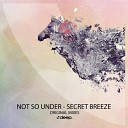 Not So Under - What I Want Original Mix
