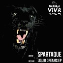Spartaque - Liquid Dreams Original Mix
