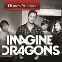 Imagine Dragons - Radioactive Acoustic Version