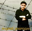 Андрей Забродин - Еду домой