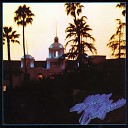 Reel Big Fish - Hotel California cover