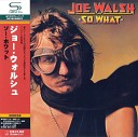 Joe Walsh - Help Me Through The Night