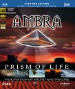 Ambra - Evolution 2014 Digital Remaster