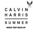 Calvin Harris - Summer DANIO Trap Mash up