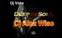 Dj Vanx - Deep in Soul Cj Alex Wise Remix