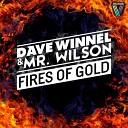 Dave Winnel Mr Wilson - Fires Of Gold Futuristic Polar Bears Remix…