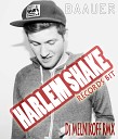Baauer - Harlem Shake DJ MELNIKOFF Remix