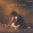 Liquid Mind - Mirror Veil