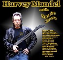 Harvey Mandel - Set In Stone