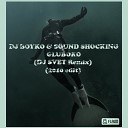 DJ BOYKO SOUND SHOCKING - Gluboko 2k9 Dj Svet dub remix