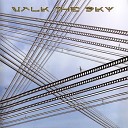 Walk The Sky - What You Need