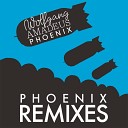 Phoenix - Lisztomania Alex Metric Remix