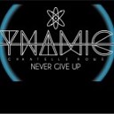 Dynamics feat Chantelle Rowe - Never Give Up