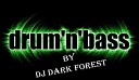 Dj Dark Forest - Through the smoke