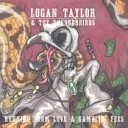Logan Taylor The Thunderbirds - Dillinger s Getaway