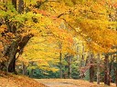 христианские песни - Осень осень листья…