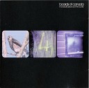 Boards Of Canada - In A Beautiful Place Out