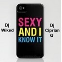 ALEX DJ Evdokimoff ВВЦ OPEN AIR 2012 - Sexy And I Know It Dj Wiked v