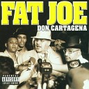 Fat Joe - My Prerogative feat Armageddon
