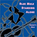 Nobody s Mule - Lone Gunman Blues