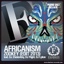 DJ Zhukovsky DJ Flight ft Africanism - Zookey 2k13 Extended Booty Mix