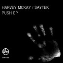 Harvey McKay Saytek - Nothing