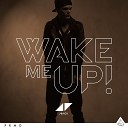 Avicii - Wake Me Up Dustin Que Remix