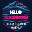 Martin Solveig vs Jewelz amp Scott Sparks - Hello Flashbang Luca Biondi Mashup