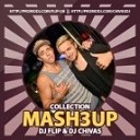 David Guetta feat Ne Yo amp Akon vs DJ Baur - Play Hard DJ FLIP amp DJ CHIVAS MASHUP