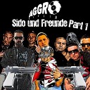 Fler feat Kitty Kat Sido Tony D - Aggro collabo