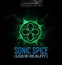 Sonic Spice - Rubiks Hypercube