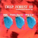 Deep Forest - Deep Tribal Radio Edit