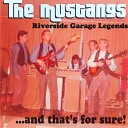 The Mustangs - Summertime