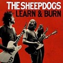 The Sheepdogs - Medley II Baby I Won t Do You No Harm