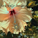 Unknown Reality - Boundless Ease