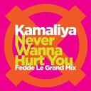 Kamaliya - Never Wanna Hurt You Bad Love Baby Fedde Le Grand Club Mix…