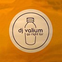 DJ Valium - Go Right for Radio Edit Ohne Vocals