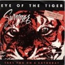 Survivor - Eye Of The Tiger Antonio Desiderio 2012 Remix