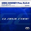 Greg Downey Pres R.I.C.O. - Elements (Original Mix)