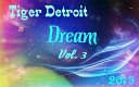 Tiger Detroit - Dream Mix Vol 3 2013