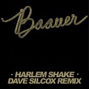 Baauer feat Dave Silcox Remix - Harlem Shake Seven Lee Grand Mush up